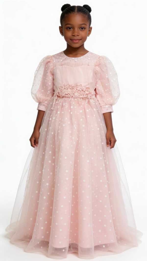 BlushPinkPolkaDotTullePrincessGownF